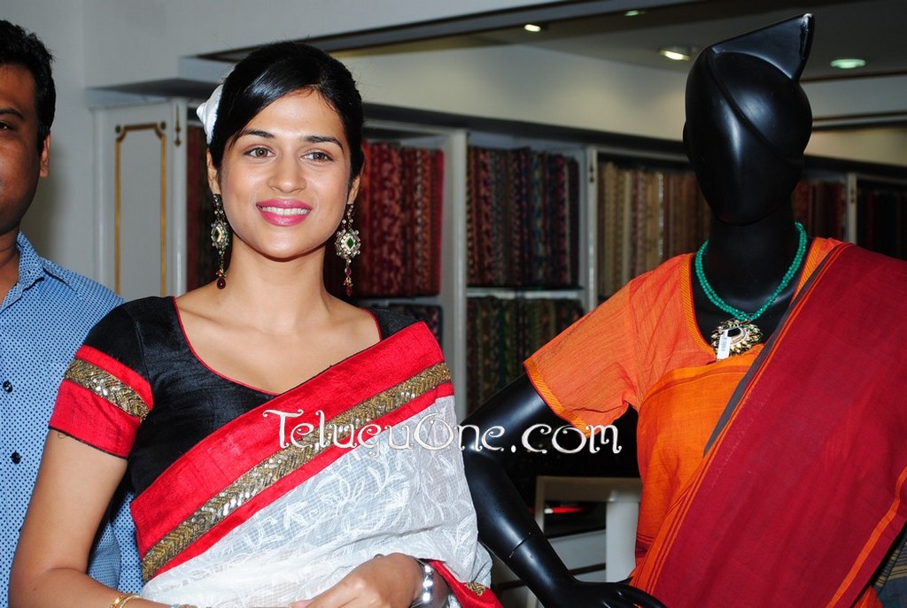 Shraddha Das Saree Stills